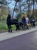 Sinterklaas bezoekt De Leidse Buitenschool