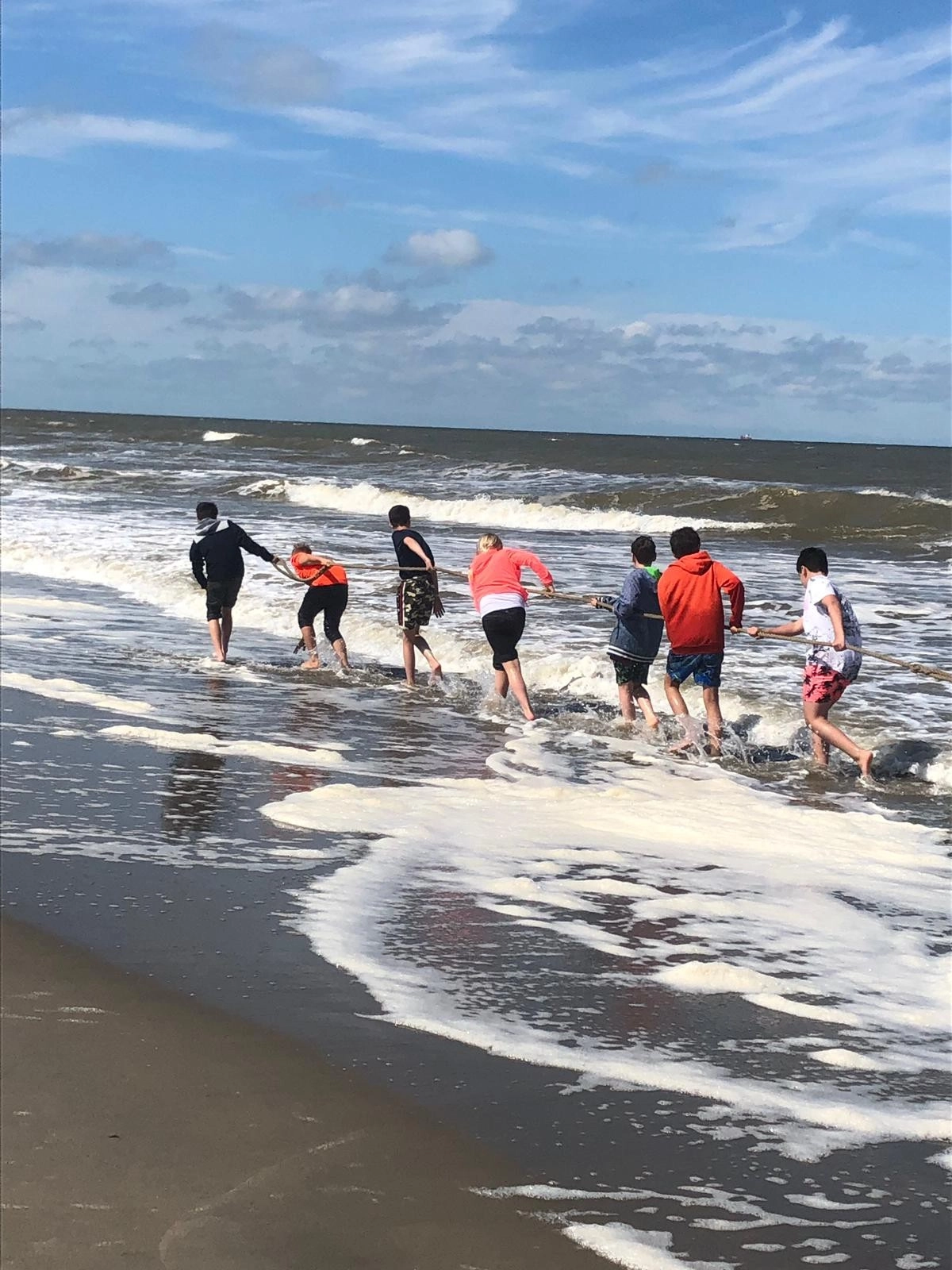 Zeeles groep 8